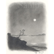 月夜の海岸《鉛筆》(21cm×26cm)この絵はイメージ画として描いたものですが、何のきっかけで描いたのだったかすっかり忘れたのだった＾＾；；。ちょっと無国籍な感じでしょうか。