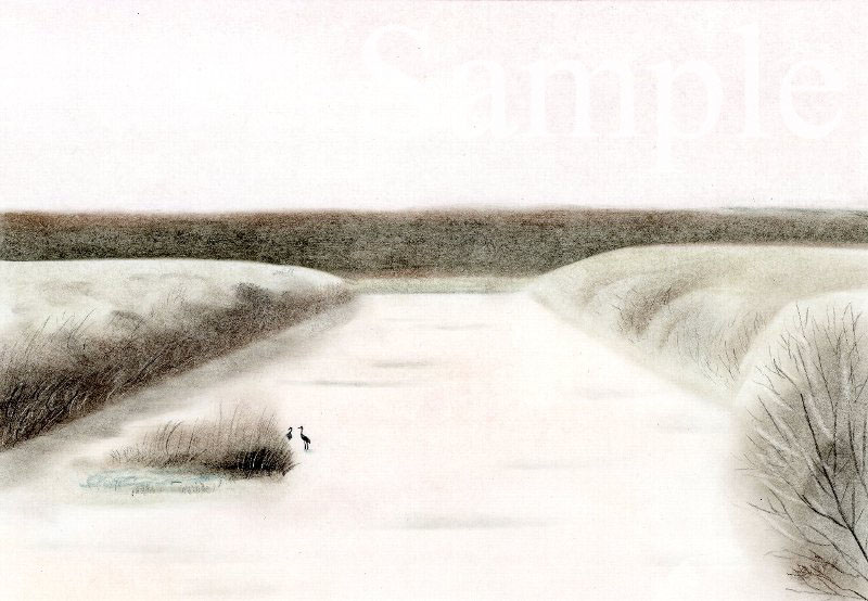 釧路・早朝の雪裡川の丹頂鶴　イラスト　色鉛筆