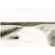  釧路・早朝の雪裡川の丹頂鶴《色鉛筆》(23cm×16cm)釧路の丹頂鶴は、冬は川で寝ます。凍らない場所なら零度以下にならないので（外気は-20度くらいになる）、早朝、夜明け頃、まだ寝床のいる鶴たちを見に行きました。