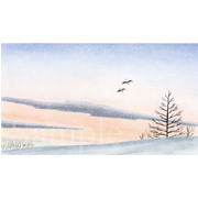 釧路・鶴居村にて《色鉛筆》(23cm×13cm)北海道釧路の鶴居村には、冬になると丹頂鶴がえさを求めてやってきます。夕方になると冬のねぐらである川に帰っていくのですが、飛行ルートの下で待ち構えていると、見事な飛翔を見上げることが出来ます。「キン」とした空気の中、羽が空気を切る音が響きます。