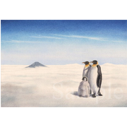 『記念写真』～空飛ぶペンギン３～《色鉛筆》(31cm×21.5cm)空飛ぶペンギンシリーズの第3弾。富士山をバックに雲の上で記念写真を撮るエンペラーペンギンの家族です。1997年秋の銀座での個展の際に出品したモノでした。