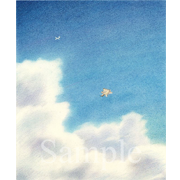 Sky Diving～エゾモモンガの挑戦～《色鉛筆》(21cm×25cm)2001年の作品です。他の絵のためにエゾシカの資料を探していて、ひょんなことから目に入ったエゾモモンガがかわいくて、これで何とか遊べないだろうかと考えました。先にタイトルを考え付き、 タイトルの方が気に入っているのだった。でも、個展では結構人気者でした。知人が「私の怪しい雰囲気にピッタリです」と、買っていかれました。