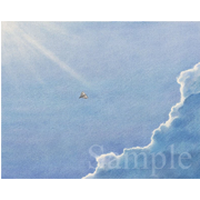 紙飛行機《色鉛筆》(35.5cm×28cm)ずっと、紙飛行機を絵にしたいと思ってました。 今回はうまくいったかも。