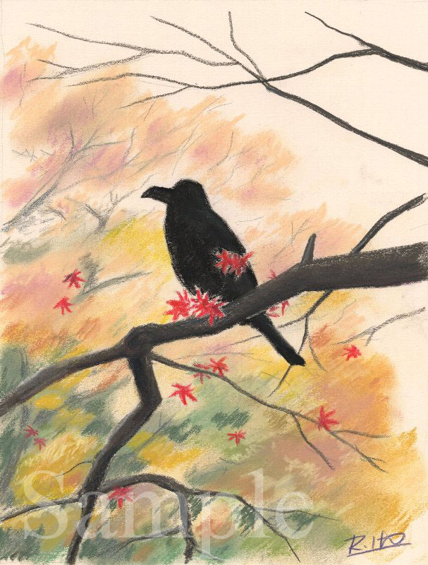 カラスと紅葉　イラスト　パステル