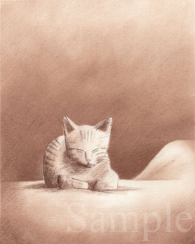 Cat 2　イラスト　色鉛筆