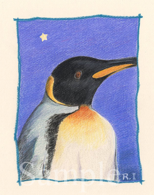キングペンギンの肖像画　イラスト　色鉛筆