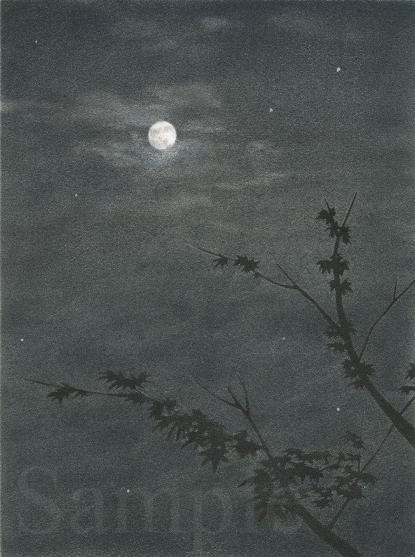 月夜 イラスト 色鉛筆 下北沢イラスト制作所 手描きのイラスト いとう良一