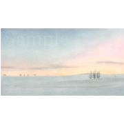 北海道・美瑛 １《色鉛筆》(31cm×17cm)一月の美瑛です。夏に来ても冬に来てもそのまんま絵になりすぎます。（夏に行ったことはにゃいが。。）