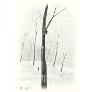巣箱《色鉛筆》(17cm×25cm)岩手県花巻市の常宿はナラ林の中にあります。バルコニーに向かっていつも鳥の巣箱が顔を見せていた。雪深い年越しの頃でした。