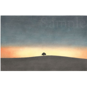 Sunrise《色鉛筆》(28cm×18cm)セドナへネイティブアメリカンに会いに行った知人が撮った写真を元に、初期の「一本の木」をリメイクしました。