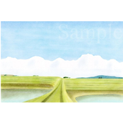 岩手県・花巻の田園《色鉛筆》(31cm×20cm)良く行く岩手、花巻の田園風景です。宿に行く時は道路ではなく、この田んぼのあぜ道を通って行ったりします。