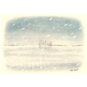 吹雪の日《色鉛筆》(35cm×25cm)良く冬の釧路鶴居村の「丹頂の家」に泊まって鶴を見ました。隣町の弟子屈町へ向かうバスの車中、吹雪の風景が心に残りました。（未来創建株式会社様のお客様配布用2014年版カレンダーに使用）