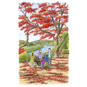 尾関山公園（広島県）《透明水彩》(28cm×45cm)尾関山公園から江の川を望みます。紅葉の赤い絨毯が見事な公園です。