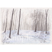 なら林 （岩手・花巻）《透明水彩》(26cm×18.5cm)よく遊びに行っていた、花巻の宿は楢林の中にあります。そこの朝のイメージです。