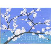 さくら《ポスターカラー》(50cm×35cm)モデルは代々木公園の桜です。突然こういう画風で描きたくなった。（未来創建株式会社様のお客様配布用2014年版カレンダーに使用）