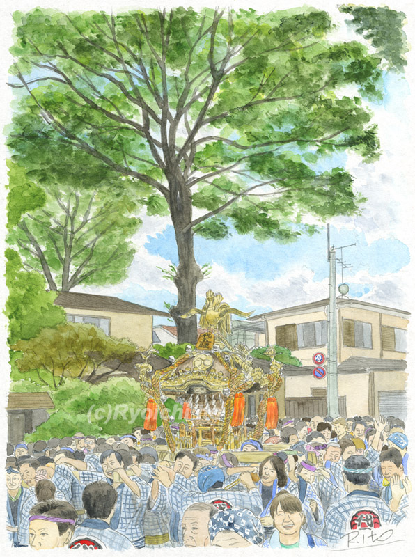 御神輿　代五睦　北澤八幡神社　例大祭　世田谷　下北沢　祭礼　イラスト　透明水彩