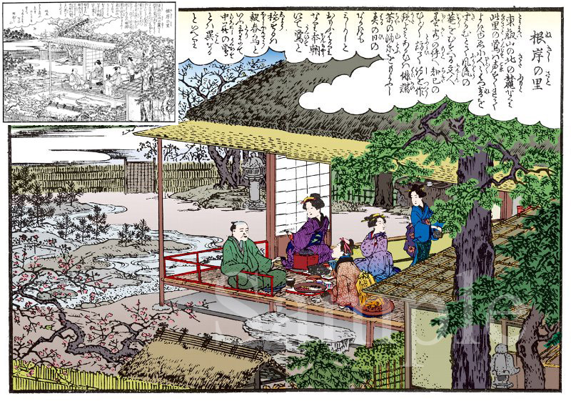 根岸の里の春の風景（線画は『江戸名所花暦』より）《adobe Illustrator CS5 にて着彩》