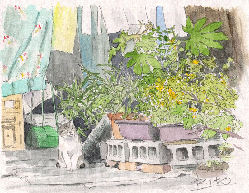 「いきいき水彩画８」　イラスト　透明水彩　猫がお出迎え・神泉駅