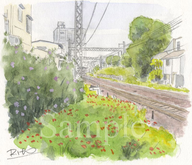 いきいき水彩画8 イラスト 透明水彩 線路沿いの花 新代田あたり 下北沢イラスト制作所 手描きのイラスト いとう良一 いきいき水彩画8 イラスト 透明水彩 線路沿いの花 新代田あたり 下北沢イラスト制作所 手描きのイラスト いとう良一