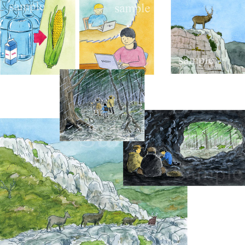 光村教育図書　くらべて、かさねて、よむちから　イラスト　透明水彩　