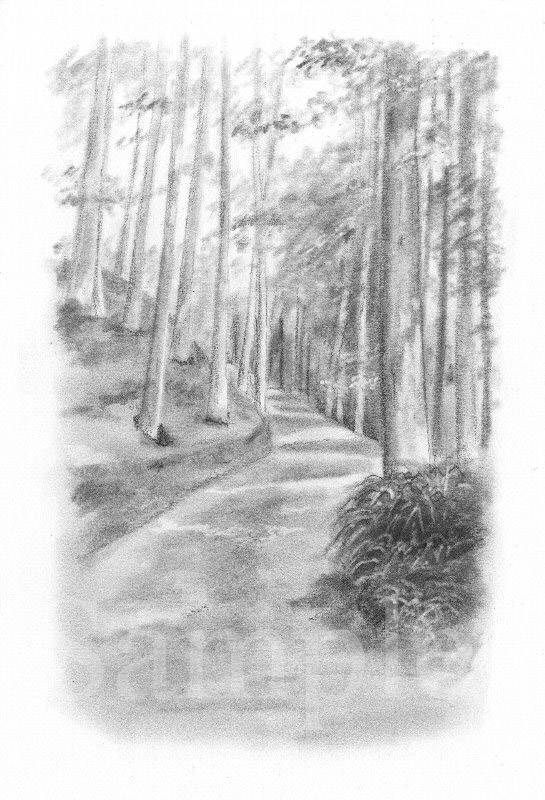 イラスト　色鉛筆　竹内紘子著『お遍路ウォーク』　本文挿画3