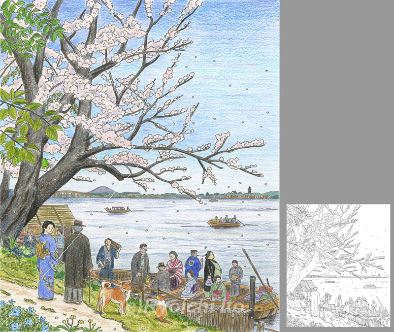 花《ペン＋色鉛筆》（21.6cm×25.6cm） 滝廉太郎作曲「花」をイメージ。『春のうららの隅田川　のぼりくだりの船人が　櫂のしずくも花と散る　ながめを何にたとうべき』