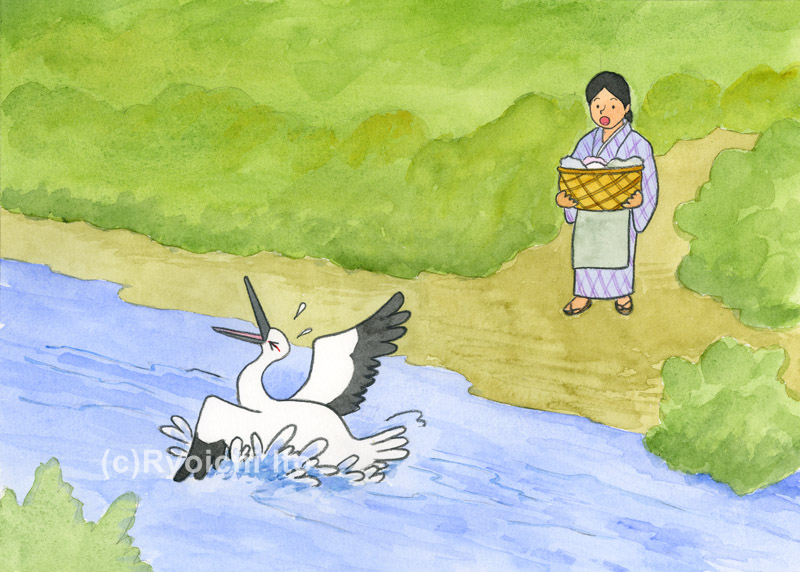 「日本の昔話７　機を織る娘（前編）」　金野博　おかみさんが川へ洗濯に行くと大きなコウノトリがけがをしておぼれていた。　イラスト　水彩　月刊新世