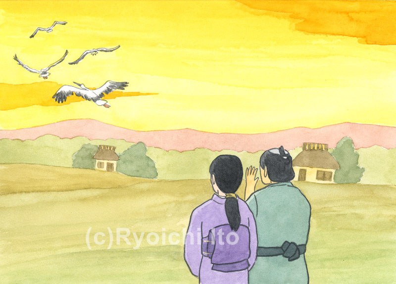 「日本の昔話８　機を織る娘（後編）」　金野博　夫婦に恩返しをして、仲間とともに飛び立っていく娘。　イラスト　水彩　月刊新世