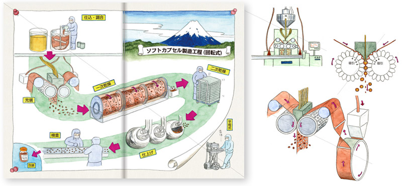 戦前の肝油に始まり、戦中・戦後と日本人の健康を支える一産業として発展してきたソフトカプセル産業。その歴史を通じて、時代の変化をとらえ、大胆に挑戦してきた先人たちの気概。巻頭カラーページのソフトカプセルの製造工程。（透明水彩）著者の近藤さんに直にお話をお聞きし、細かい部分の疑問点を補い、見た目にわかりやすくイメージしやすく描きました。