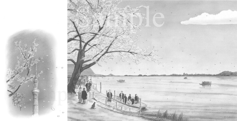  滝廉太郎「花」《鉛筆》　(36cm×25.7cm)月刊「新世」に連載されている 「思い出オルゴール」2013.5月号のためのイラスト。滝廉太郎作「花」がテーマなので、この歌が作られた100年前の隅田川をイメージしました。