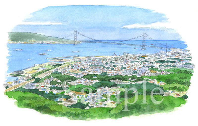 イラスト　透明水彩　住友大阪セメント