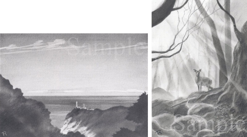月刊「山と渓谷」（山と渓谷社）2008.6月号のためのイラスト　ヤクシカ　屋久島の風景