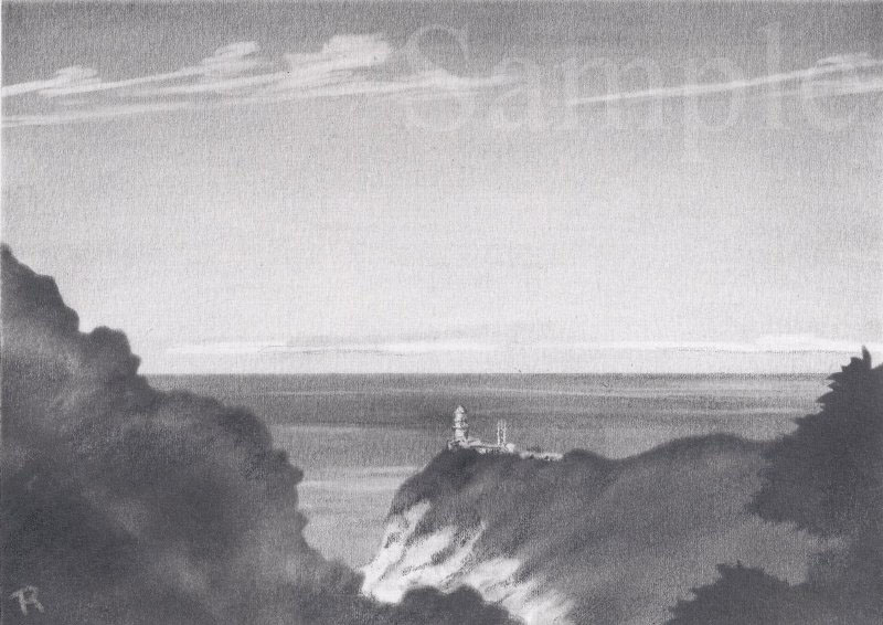 イラスト　鉛筆　「山と渓谷」挿画「屋久島の風景」