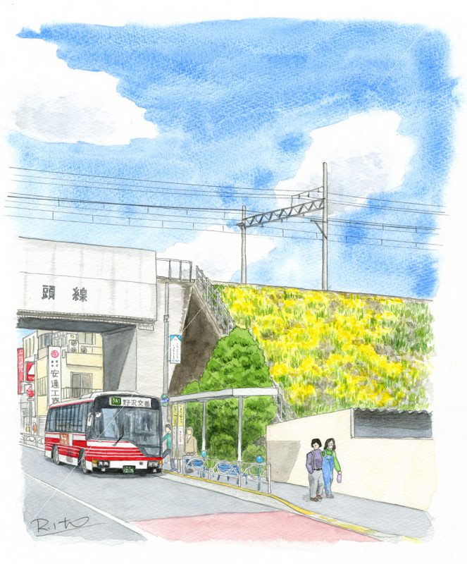 井の頭線土手の菜の花 下北沢イラスト制作所 いとう良一 懐かしい感じがする叙情的な手書きのイラスト